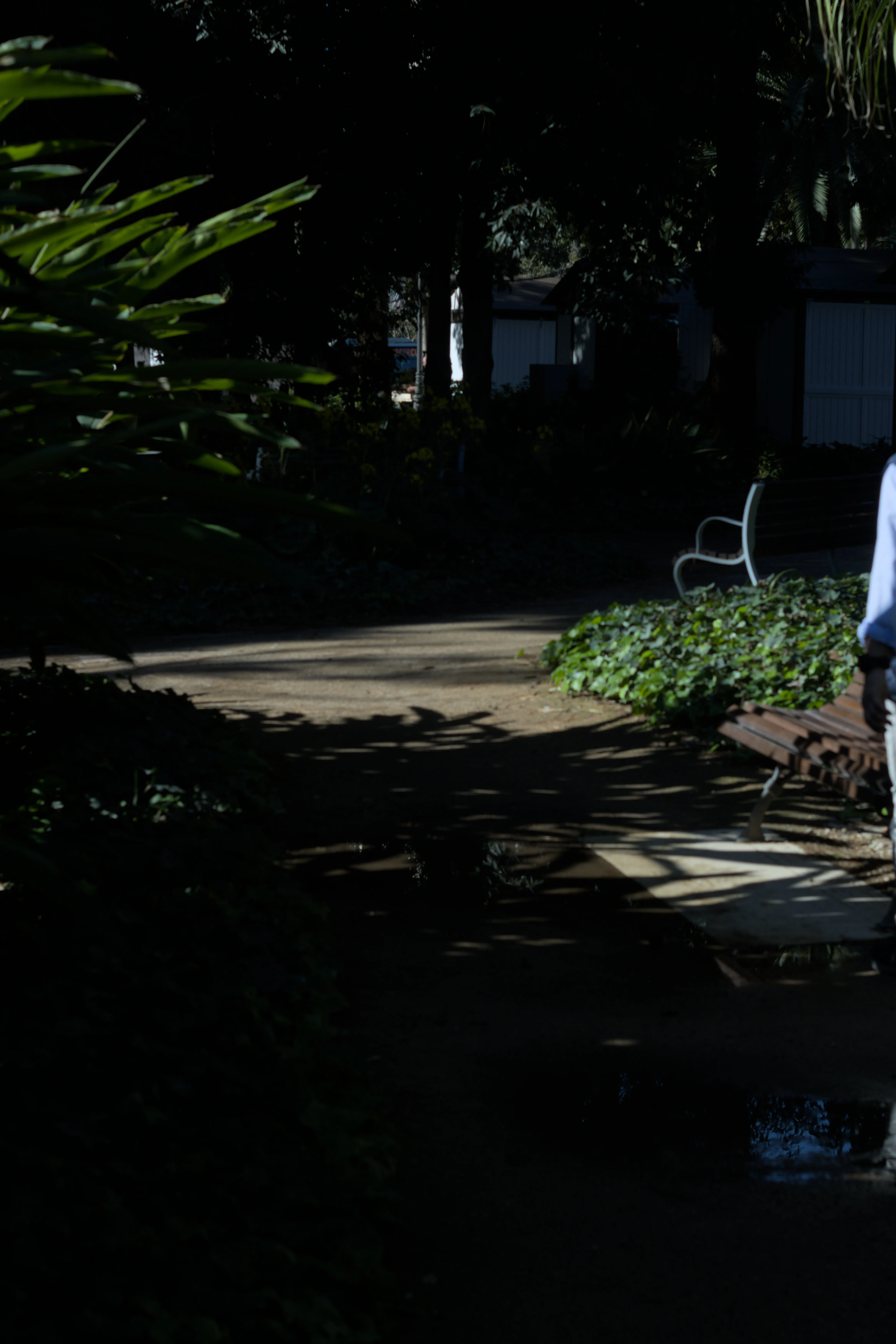 Zenith Helios-77M-4 1,850 (VOMZ) - _I4A6165.webp